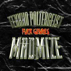 Madmize - Tekkno Poltergeist [Extended]