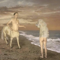 formaldeído (+ folest)