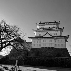 Penguin Robot - Castle