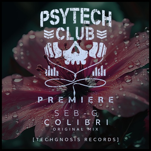 PREMIERE: Seb-G - Colibri (Original Mix) [Techgnosis Records]