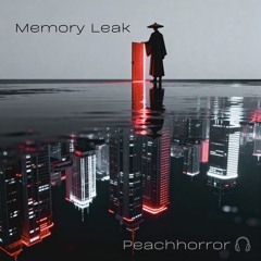 Memory Leak