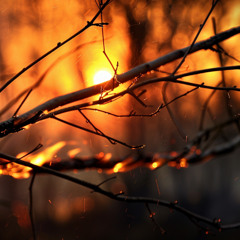 Красное Зарево