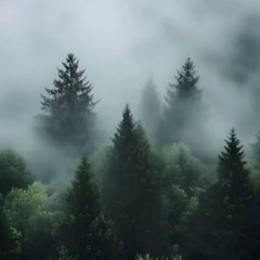 V.I.K.T. - a bassline with a memory