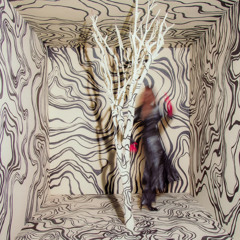 Collider Particles
