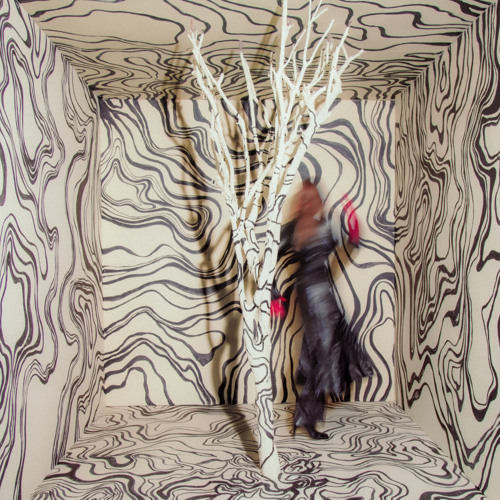 Collider Particles