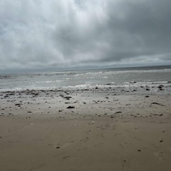 GUESS (Live Solo Performance)