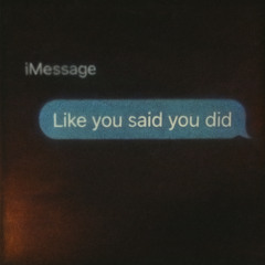 LIKE YOU SAID YOU DID (DEMO)