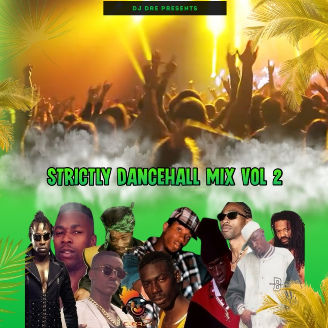その他 MAHARAJA presents GLOBAL MIX VOL.2 - EDM BEST MIX - [CD] 1200?cb=20210908084545