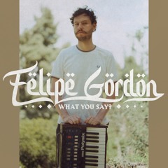 Felipe Gordon - What You Say?