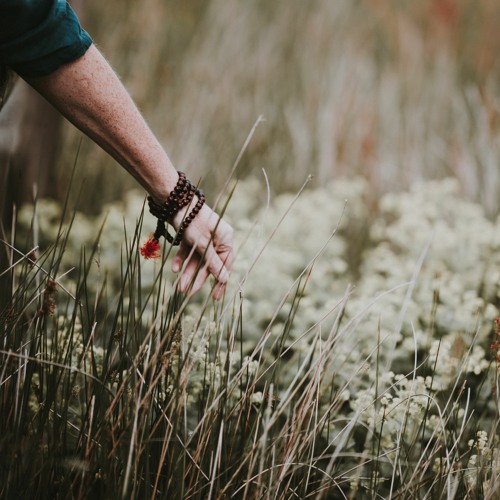 Inspiring Touch