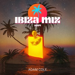 The Ibiza Mix 2024