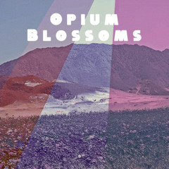Beat "Opium Blossoms" | 105BPM Dmin