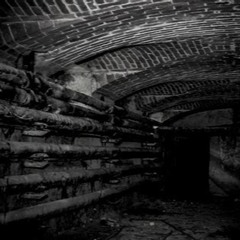The Under Basement __ Robert Babicz