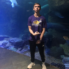 Yung Boss- On the Rise