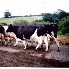 Gordon Ward Interchange