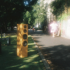 Dance with me by Shiloh Dynasty & itssvd (Aymara edit)