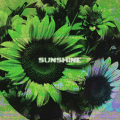 Sunshine [Extended Mix]