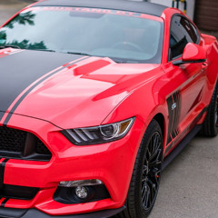 Techno Remix Sebtox (Die eine oder keine)