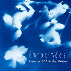 Enracinées (Classe CM2 Et Ulysse De Pont - Audemer)