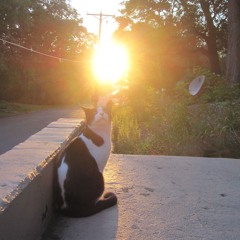 lake street east (reprise)