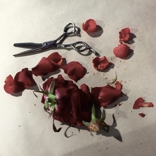 FALLEN (slowed) prod. Soffee