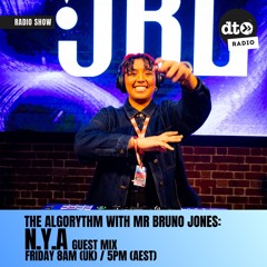 The Algorythm Show #15 - N.Y.A