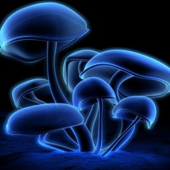 Blue Mushroom ( video on youtube )