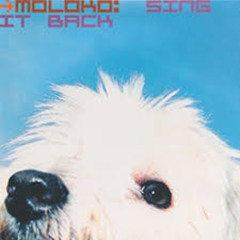 Moloko - Sing It Back (Zak Mac Remix)