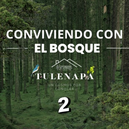 Capítulo 2: Conviviendo con el bosque