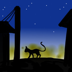 Night walk