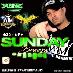 SUNDAY BREEZE AUGUST 23, 2020