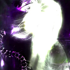 white lotus