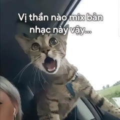 Lỡ duyên Remix