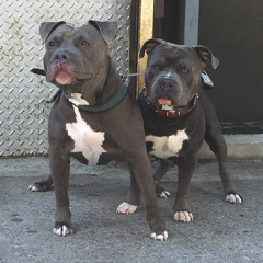 NOT A HEADLINER 09.26.2021