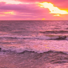 my shawty (unofficial)