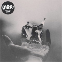 Indie Playlist • BIRP! February 2022