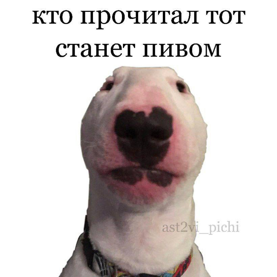 Stream JojoHF первый раз МИНУС PHONK TikTok remix мама я влюбился в неё by  Анастасия Ходак | Listen online for free on SoundCloud