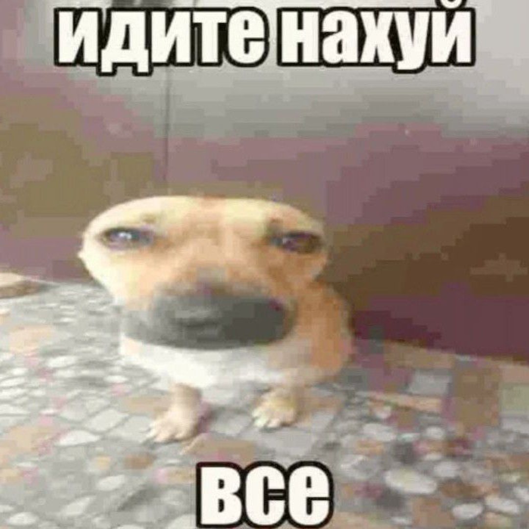 Ай мишаня на кондициях двигаешься