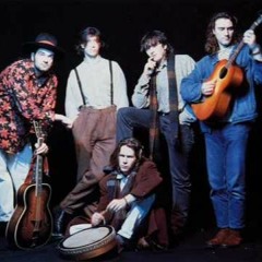 Hothouse Flowers
