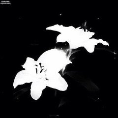 FLOWERS w/wxllflower