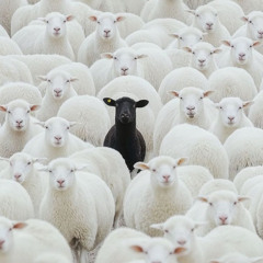 BIG Again ft Twillthatshim