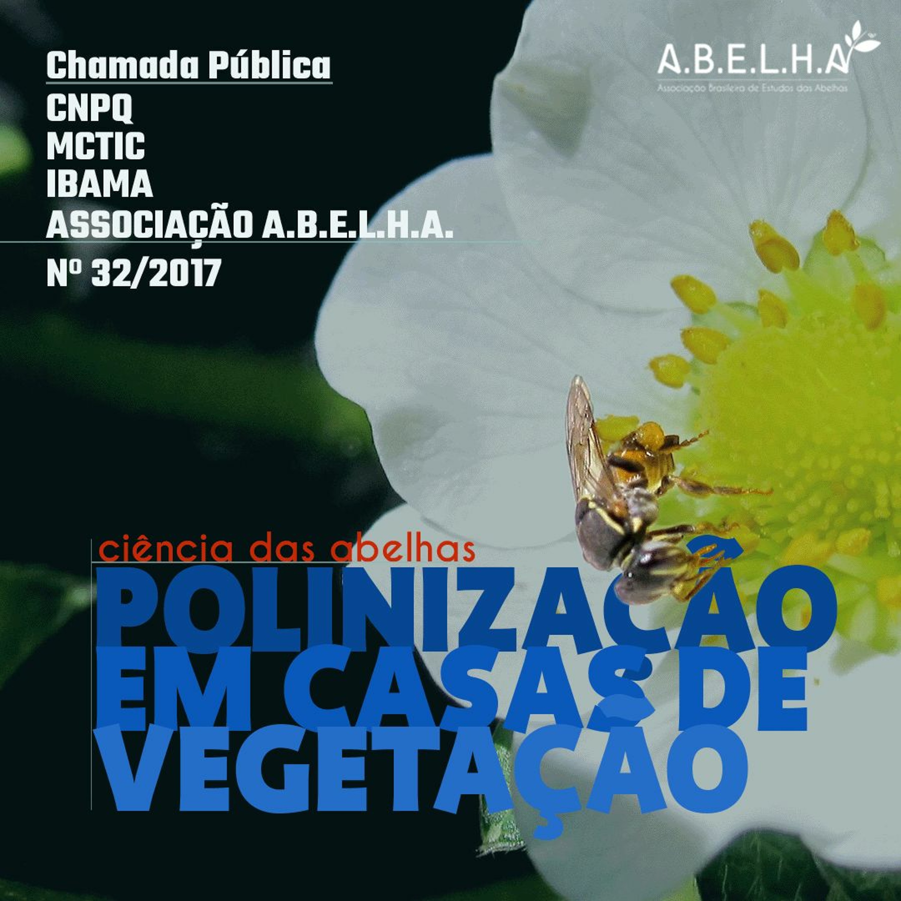 Podcast ABELHA