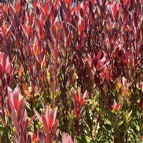 Stream Tech House June 2022 by VULCaN Listen online for free on