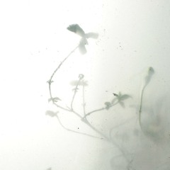 ‎⁨إِنَّ الَّذِينَ تَوَفَّاهُمُ الْمَلَائِكَةُ ظَالِمِي أَنْفُسِهِمْ⁩.