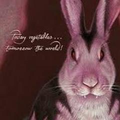 CURSE OF CIV CHASE 2