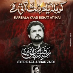 Nohay 2020 - Karbala Yaad Bohat Aati Hai | Syed Raza Abbas Zaidi | New Noha 2020 /1442 - Karbala