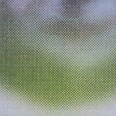 Animix One Hundred & Sixty Six: Moopie