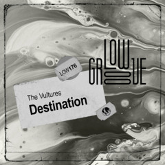 LOW176 The Vultures - Groove Pool (Original Mix)