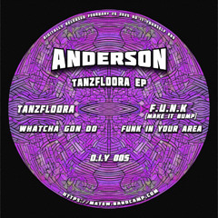 Anderson -  Tanzfloora EP - DIY005