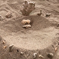 [demo] 모래 무덤 (sand grave) 20230609